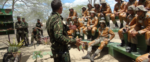 1ª Companhia de Infantaria realiza Adestramento de Caatinga