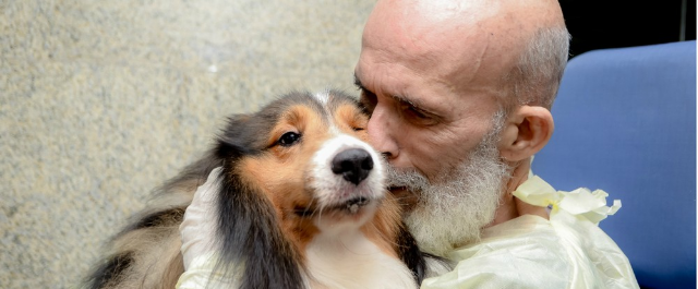 Após visita de cachorro, melhora de paciente com câncer surpreende médico