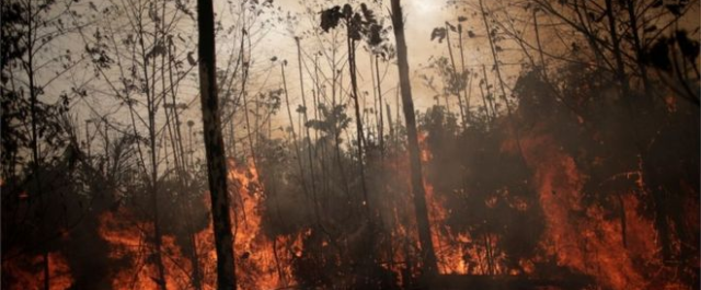 Brasil já perde investimentos por causa de queimadas na Amazônia