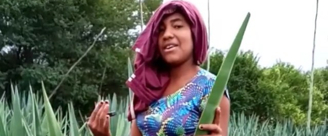 Cortadora de sisal, adolescente baiana viraliza na internet após gravar vídeo cantando em plantio