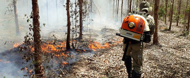 Parceria fortalece o enfrentamento aos incêndios florestais na Bahia