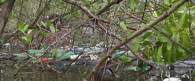 Em vez de peixe, pescadores pescam lixo nos manguezais